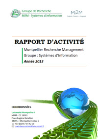 SI-rapport_activite_2013